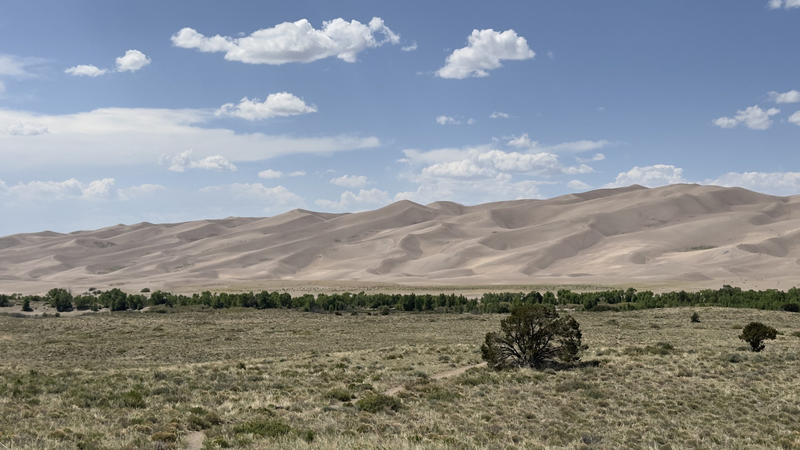 The dunes of Great Sand Dunes National Park are visible from outside the park.